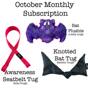 Lucky Dog $9 Monthly Toy Subscription