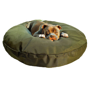 Round dog bed olive colored with a pit bull dog laying one it