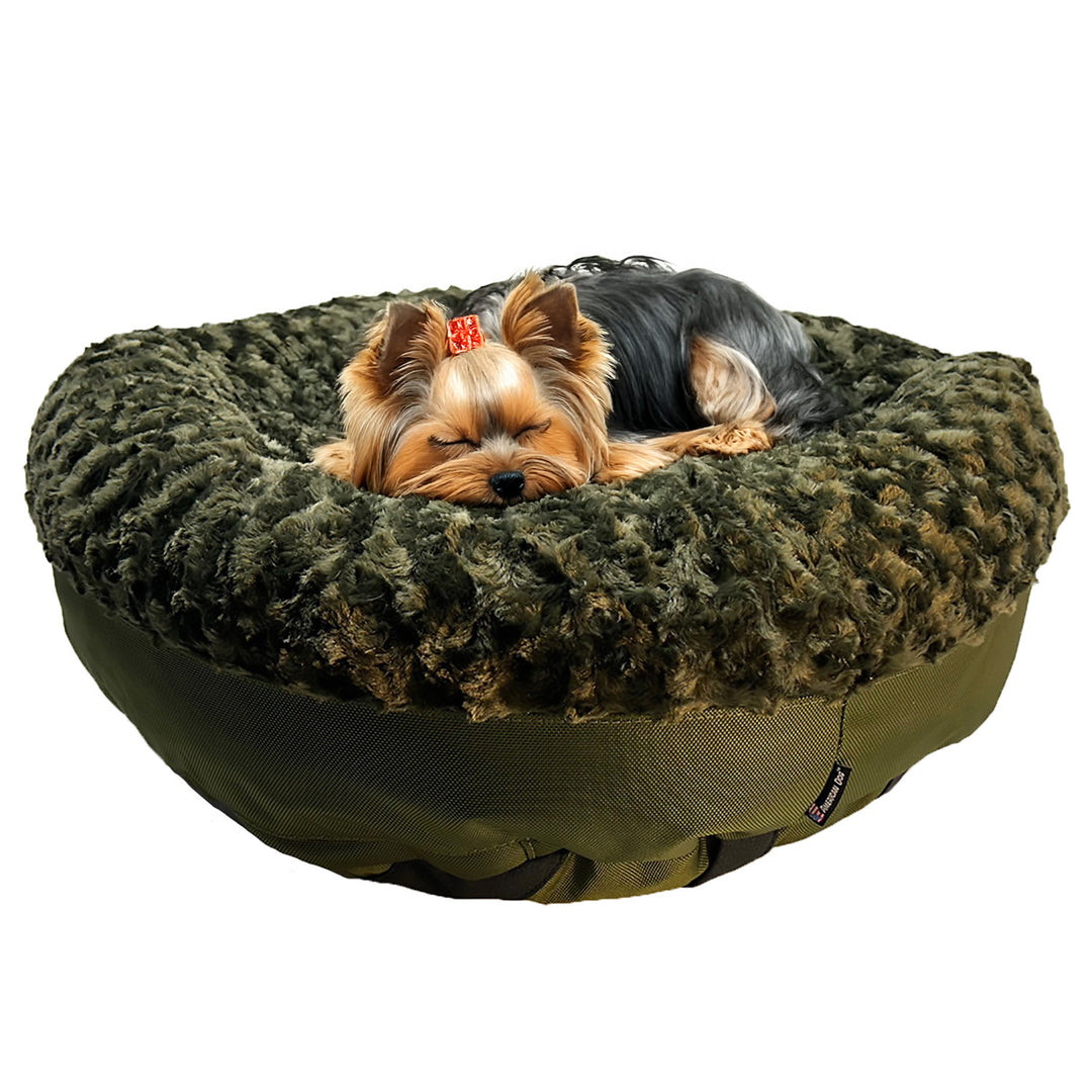 Dog lying on an olive colored round bolstered dog bed with a white background