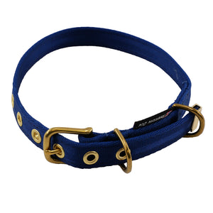 Navy colored seatbelt dog collar with brass hardware