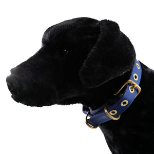 Navy colored seatbelt dog collar with brass hardware