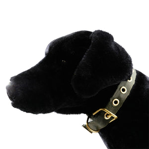 Olive colored seatbelt dog collar with brass hardware