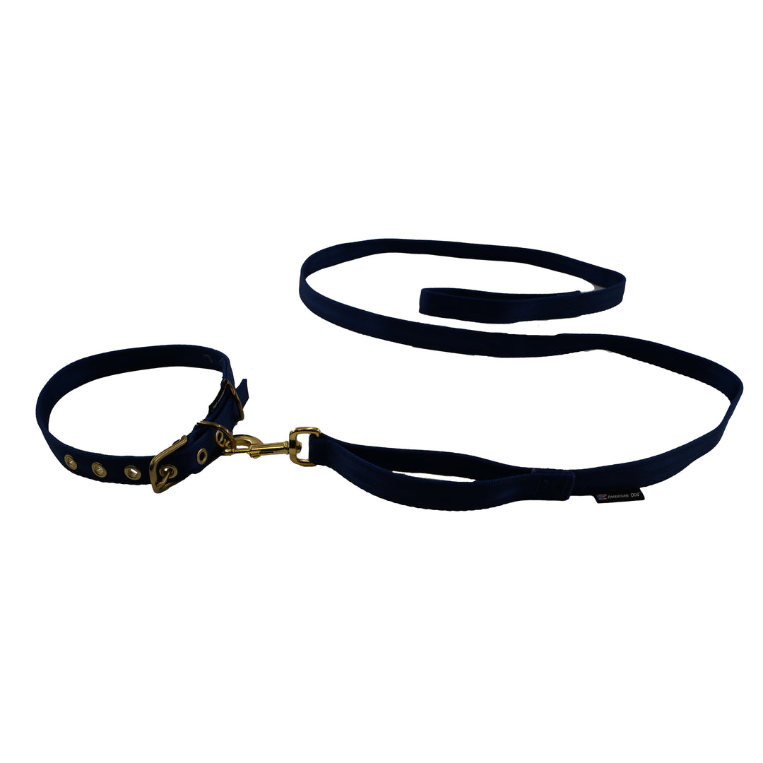 Black seatbelt leash and collar