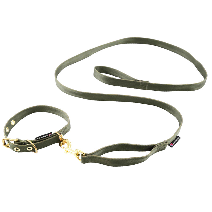 Olive seatbelt leash and collar