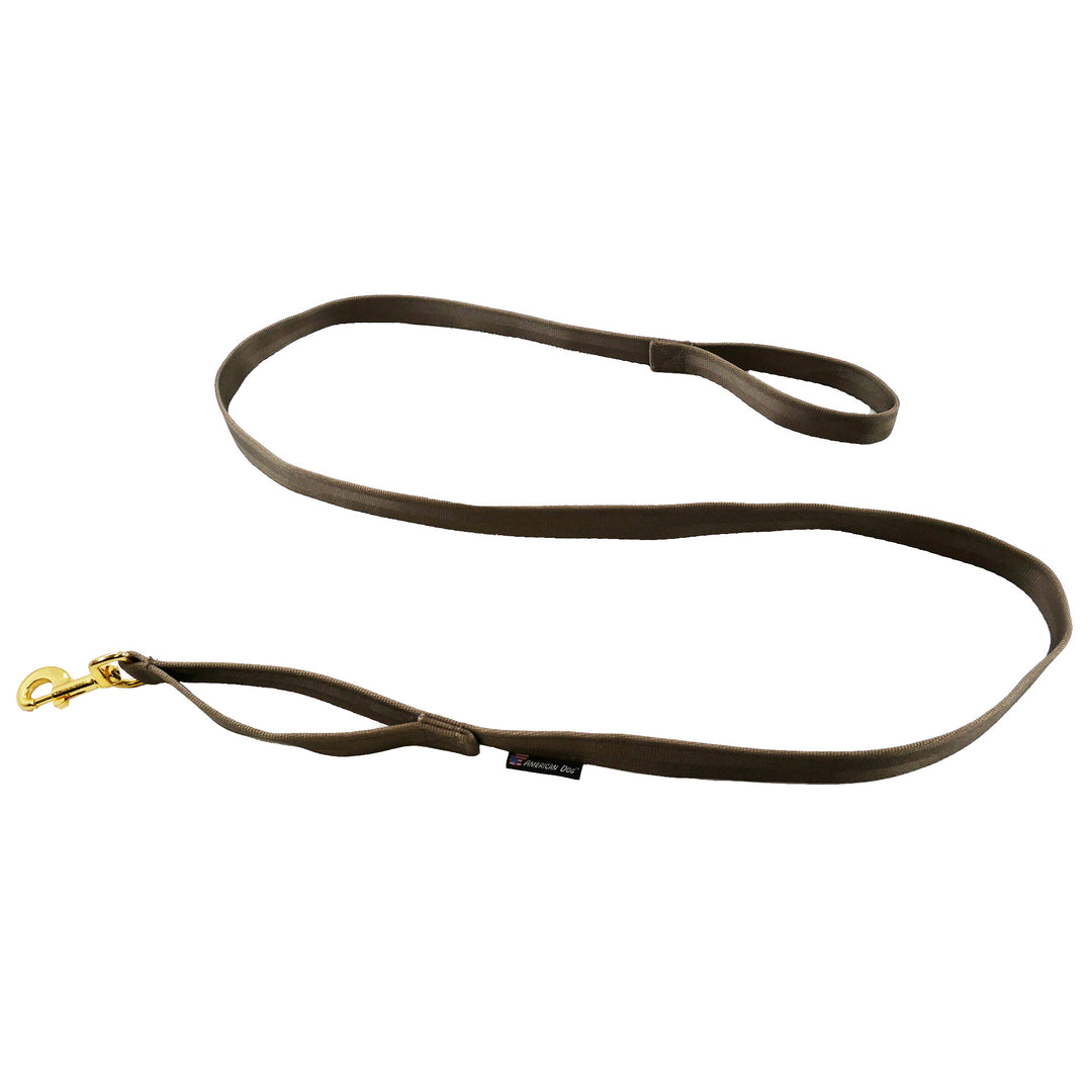 Coyote seatbelt leash