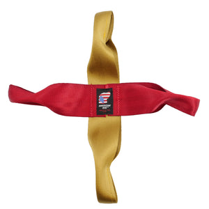 Red & Gold 4 looped Dog Toy