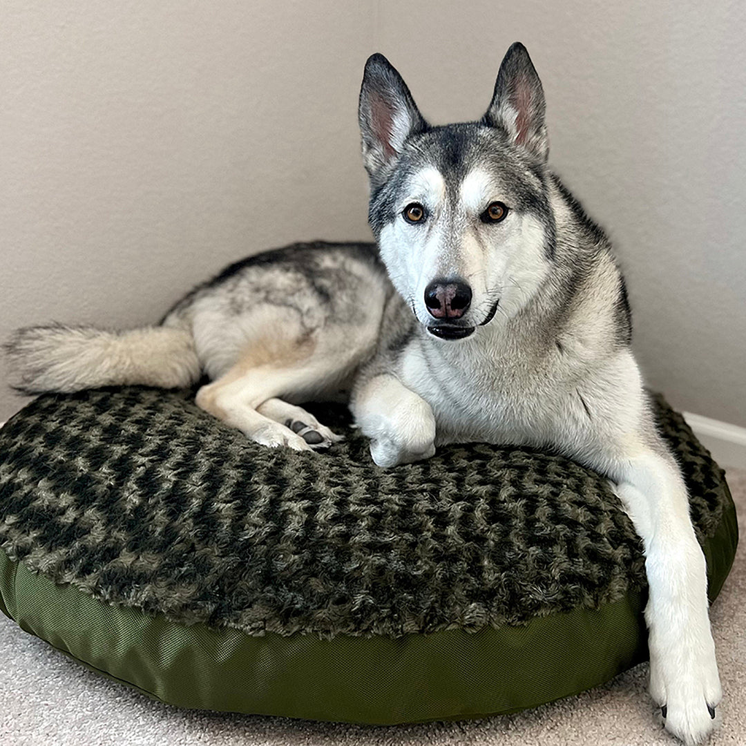 Round bed fuzzy olive with husky