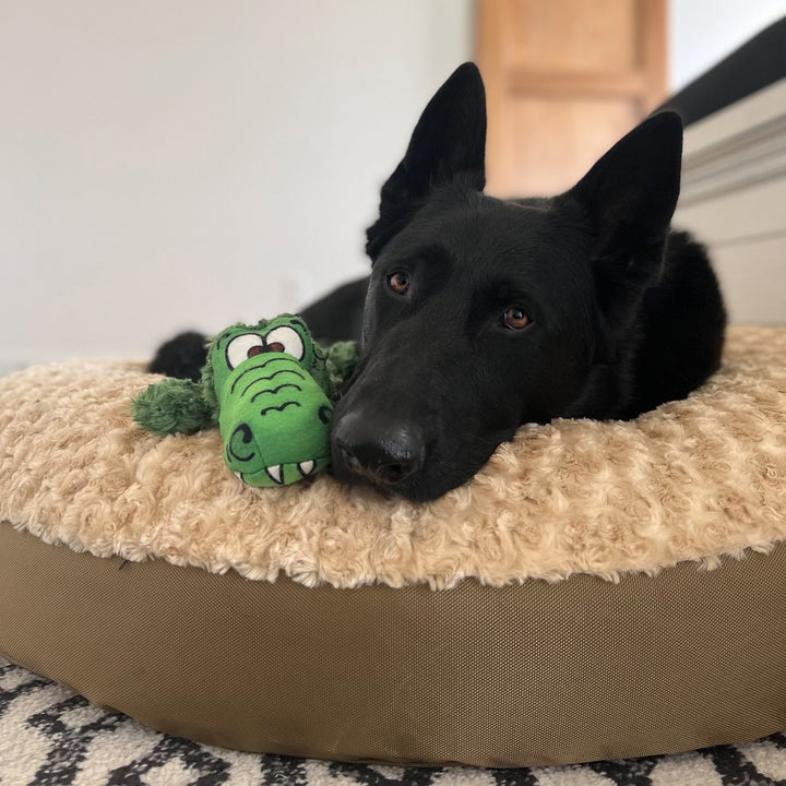 Round bed fuzzy camel with black shepard  and aligator toy