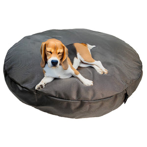 Beagle dog laying on a round gray dog bed 