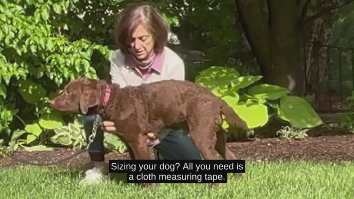 video showing how to measure a dog to get the correct sized vest
