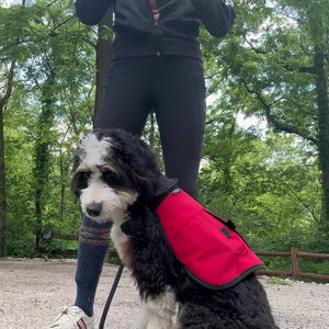 Markay Training Vest